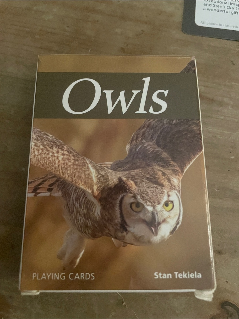 Owls Playing Cards — Brown and Cream Nature Deck